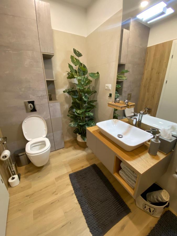 Art'Penthouse Aparthotel Braşov Exterior foto